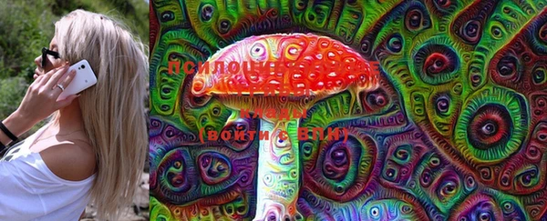 эйфоретик Новозыбков